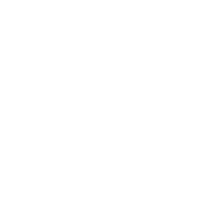 Sportivo AI